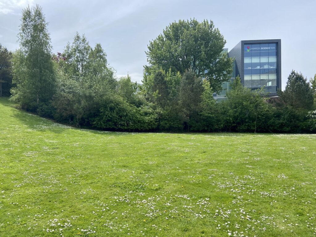 Lots of green space around LSP