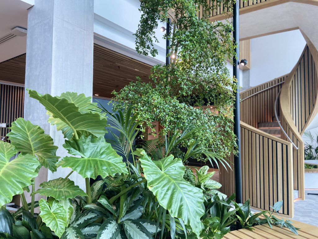 The Spine - A building designed for occupants to be healthier